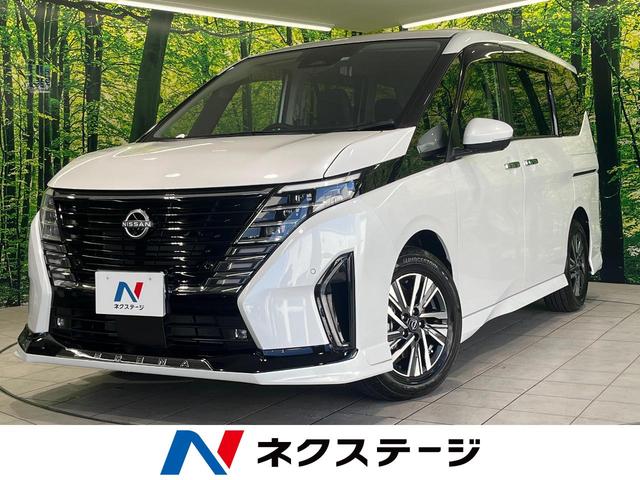 セレナ 群馬県 純正12型ナビ 全周囲カメラ プロパイロット 両側電動スライドドア