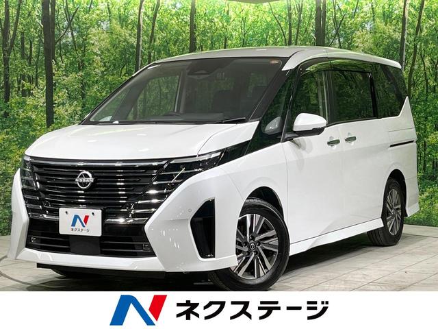 ʡ ʥӡϥ顡եåץ˥ץѥå 1