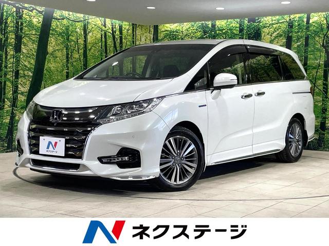 ǥåϥ֥åɡܾ븩 ʥӡʥ˥̥顡ξ¦ưɥر֡ͷڸ 1