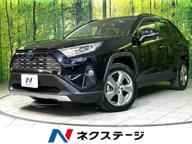 RAV4 長野県 純正9型ナビ バックカメラ 衝突軽減 寒冷地仕様 ステアリングヒーター