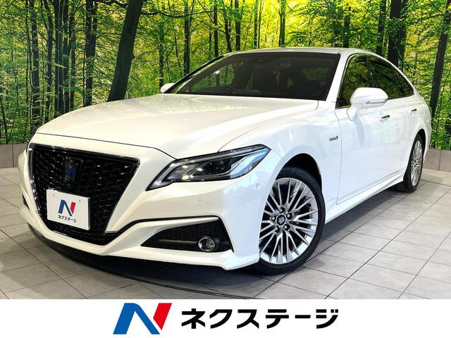 ȥ西 饦ϥ֥å ӡ쥬󥹥롡ر֡ʥ