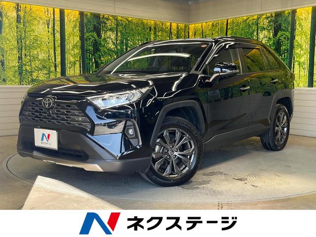 RAV4 岐阜県 純正10.5インチナビ プリクラッシュセーフティ 全周囲カメラ