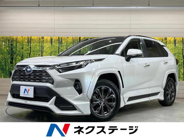 RAV4 愛知県 純正ディスプレイオーディオ ガラスルーフ フルエアロ バックカメラ