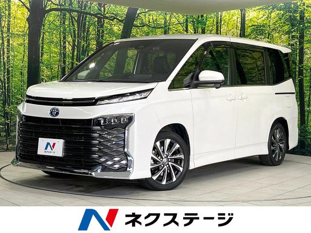 ヴォクシー 栃木県 レーダークルーズ 後席モニター 純正10型ディスプレイオーディオ 禁煙車