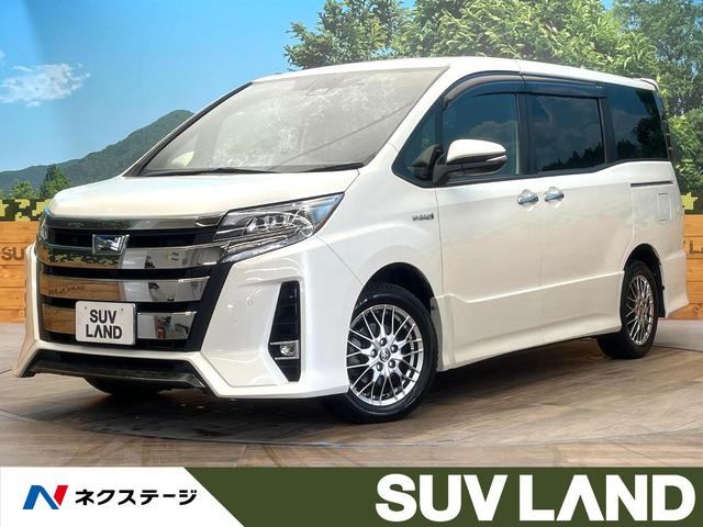 Υ縩 ر֡ʥӡХå顡̣ţĥإåɥ饤ȡեƥ 1