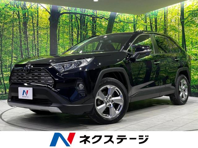RAV4 岩手県 純正SDナビ バックカメラ トヨタセーフティセンス レーダークルーズ