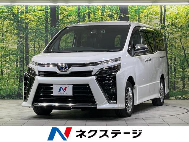 ȥ西  ϥ֥åɣڣӡɣɣɡʥӡʥ˥