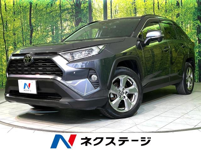 RAV4 長野県 バックカメラ Bluetooth接続 CD/DVD再生 フルセグ