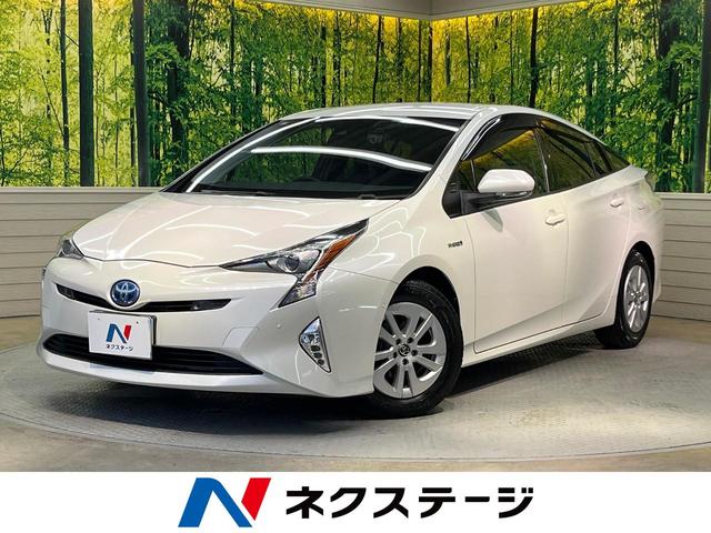 ȥ西 ץꥦ ӣĥʥӡХå顡ﳲڸƥ