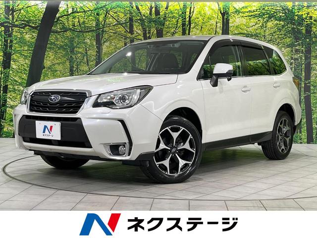 ե쥹̳ƻ ŷȣ֣򣳡ʥӡر֡Хå顡ե륻 1