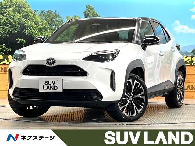 ȥ西 ꥹ ڡǥץ쥤ǥץ饹ϥ顡եƥ