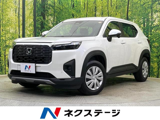 ףҡݣ֡㸩 Ͽ̤Ѽ֡ʥӡХå顡ﳲڸƥ 1