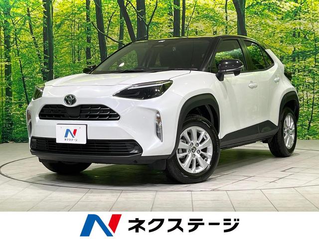 ꥹ㸩 ţԣãե륻ȥϥӡࡡ졼󥢥ȡȥ 1