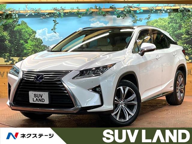 ңء ʥӡϥ顡֥饤ɥݥåȥ˥̣ţ 1