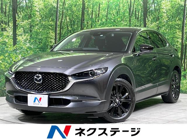 ãءݣ ޥĥͥȡϥ顡ͷڸ֡졼롼 1