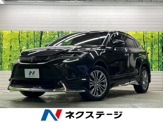 ϥꥢܸ ߸ܸ顪õϥͥơŹء 1