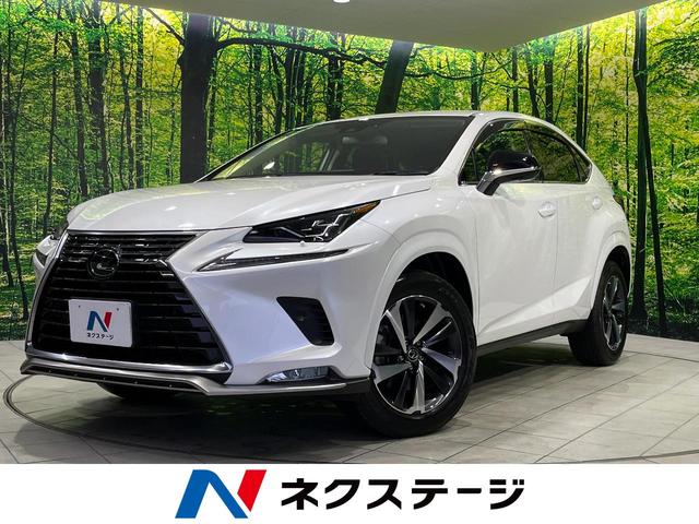 ＮＸ　岩手県 純正１０．３型ワイドナビ　全周囲カメラ　寒冷地仕様　ＡＣ１００Ｖ電源
