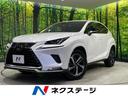 ＮＸ　岩手県 純正１０．３型ワイドナビ　全周囲カメラ　寒冷地仕様　ＡＣ１００Ｖ電源