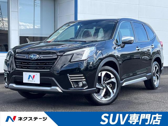 tHX^[(Xo) AhoX@Svc@T[t@Փˌyu@։ԁ@{vV[g@[_[N[Y@tgETChEobNJ@dsb@a@tZO@hR@SȃV[gq[^[@p[obNhA@NR Îԉ摜