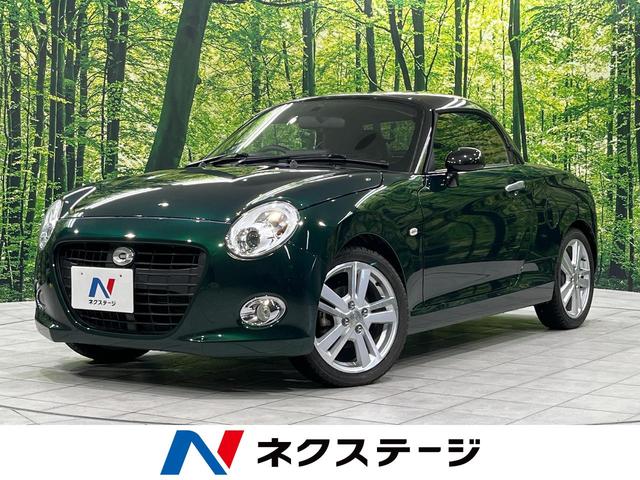 ڥ󡡴긩 ӣĥʥӡХå顡ر֡ȥҡޡȥ 1