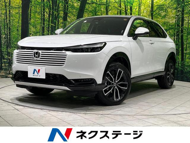 F[(z_) Fgdu@y@X^ir@z_ZVO@S̓J@dAQ[g@[_[N[Y@a@dsb@V[gq[^[@kdcwbh@I[gCg@X}[gL[@di[~[@p[EBhE Îԉ摜