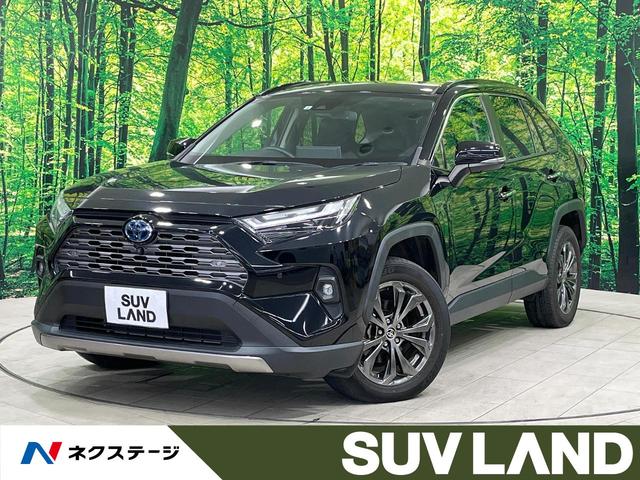 ＲＡＶ４　千葉県 禁煙車　サンルーフ　純正ディスプレイオーディオ　全周囲カメラ　ＥＴＣ