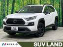 ＲＡＶ４　千葉県 登録済未使用車　純正１０型ナビ　レーダークルーズ　前席シートエアコン