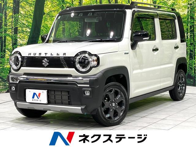ハスラー　愛知県 禁煙車　ＳＤナビ　バックカメラ　ドラレコ　ＥＴＣ　ルーフレール