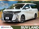 アルファード 千葉県 後席モニター 9型ナビ デジタルインナーミラー BSM 3眼LEDヘッド