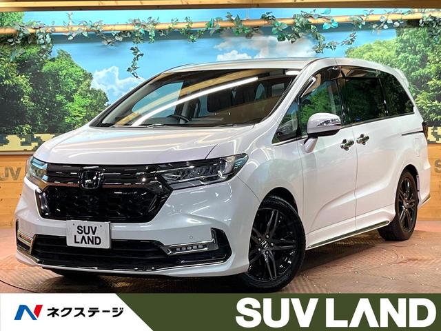 ۥ ǥå ֥롼ȡţءر졡եåץ