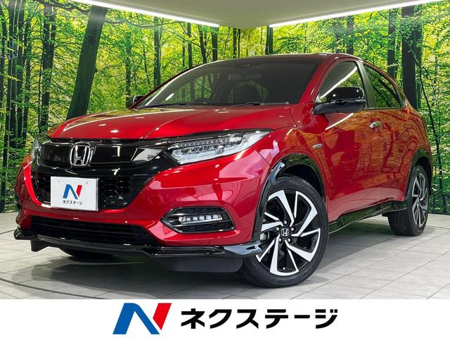 롡ϸ ʥӡХå顡졼롼ﳲڸƥ 1