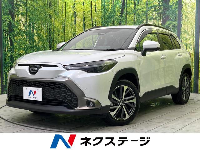 饯ڸ ϥ顡եƥ󥹡졼롼ر 1