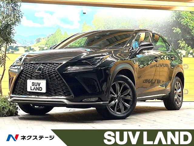 Σءʡ ǥץ쥤ࡼ롼ա̣ţĥإåɥ饤ȡţԣ 1