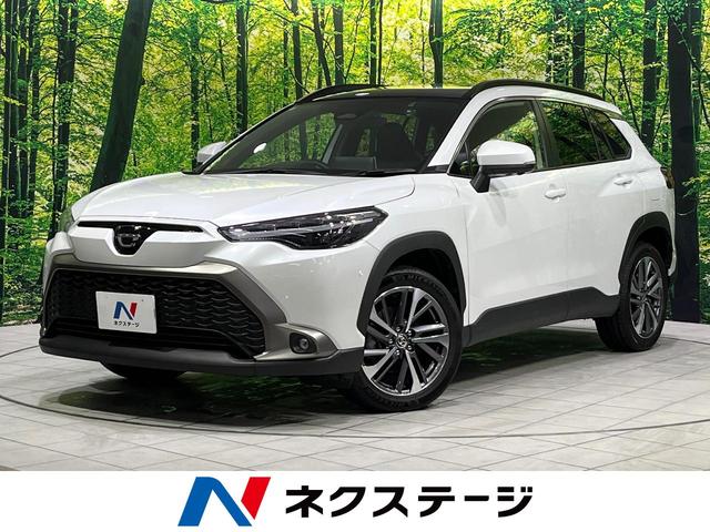 J[NX(g^) nCubh@y@Svc@։ԁ@Փˌy@ndl@PO^ir@S̓J@AhoXhp[N@[_[N[Y@dsb@hR@V[PV^[v@p[obNhA@p[V[g@V[gq[^[ Îԉ摜