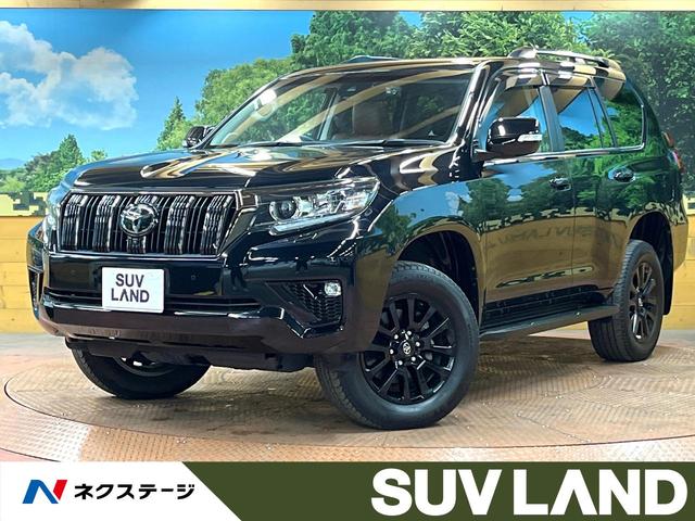 ȥ西 ɥ롼ץ ԣء̥ѥå襢˥С꡼ߥƥåɡ롼