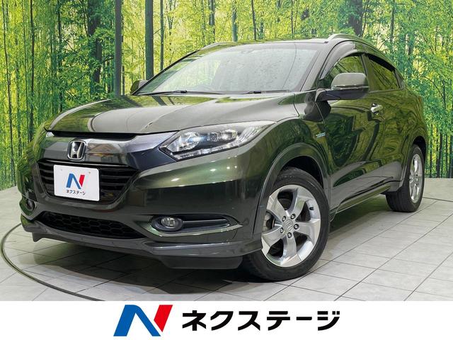 ۥ  ϥ֥åɣءʥӡХå顡ͷڸ