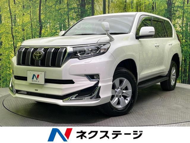 ȥ西 ɥ롼ץ ԣءǥꥹʥӡХå