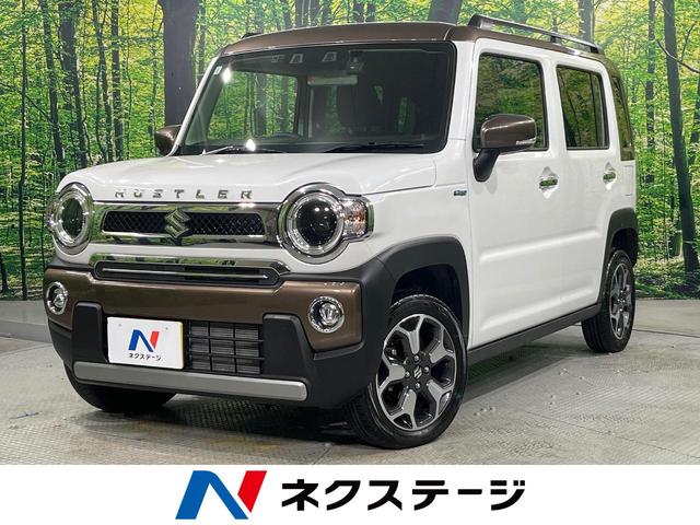  ϥ顼 ʥɣɡر֡ǥץ쥤ǥХå