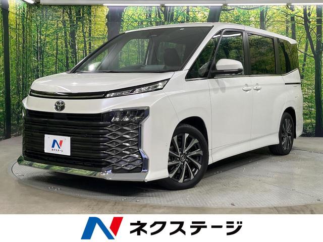 ヴォクシー　愛知県 禁煙車　純正１０．５型ナビ　両側電動ドア　バックカメラ　シートヒーター