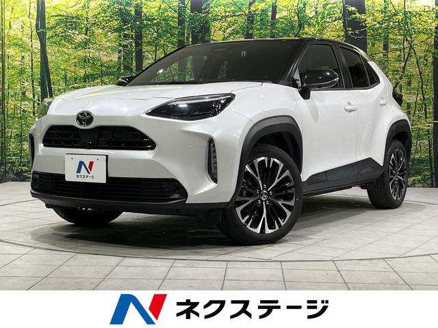 ȥ西 ꥹ ڡر֡ǥץ쥤ǥ