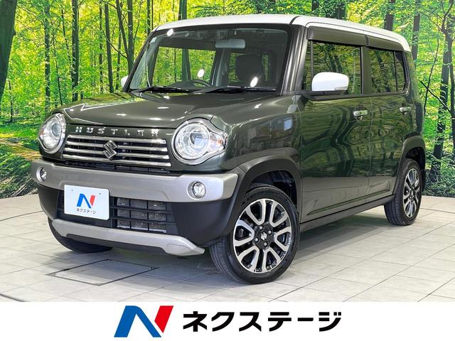 ϥ顼Ļ踩 ر֡ޡȥȣɣĥإåɡ륳󡡼æ󡡥ȥ饤 1