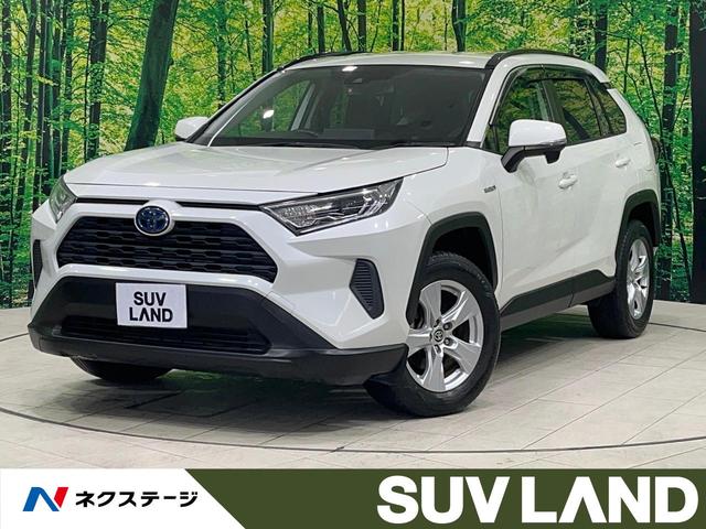 ȥ西 ң֣ ϥ֥åɣءر֡ʥӡե륻