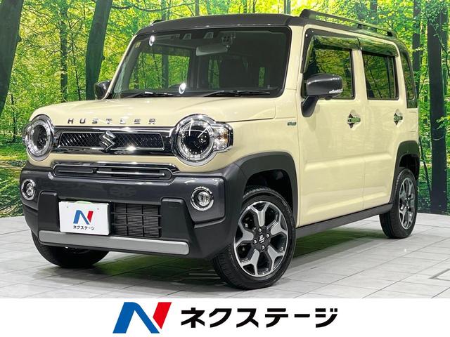 ϥ顼Ÿ ﳲڸƥࡡ졼롼ر֡ɥ쥳ʡ 1