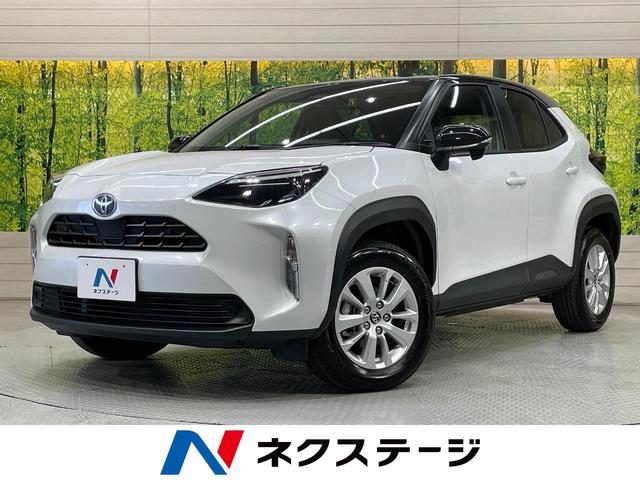 ȥ西 ꥹ ǡģХå顡ͷڸ