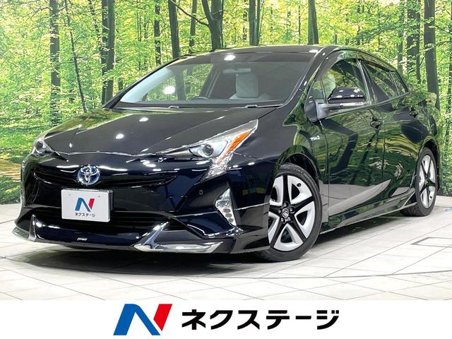 ȥ西 ץꥦ ӥġ󥰥쥯󡡶ر֡ǥꥹʥ