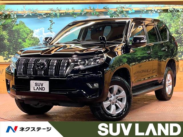 ɥ롼ץɡ ʥӡХå顡ǥեåեƥ󥹡סţԣ 1