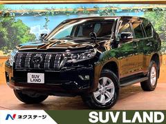 ȥ西ɥ롼ץɡԣء̥ѥåʥ