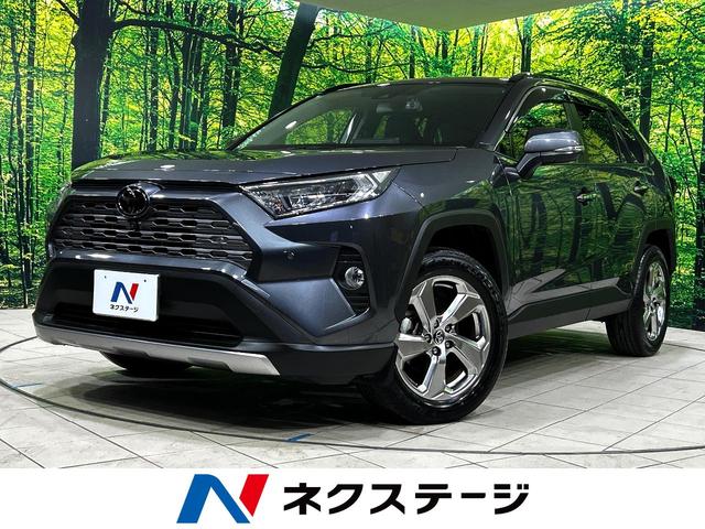 ң֣Ų ϥ顡졼롼ر֥֡饤ɥݥåȥ˥ 1