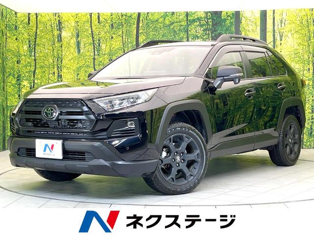 ȥ西 ң֣ ɥ٥㡼եɥѥåɣɡر֡ģ