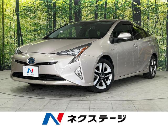 ȥ西 ץꥦ 䡡ӣĥʥӡХå